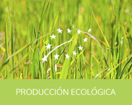 producción ecológica