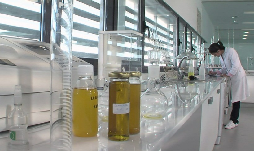 Modificaciones en la normativa sobre las características de los aceites de oliva y aceites de orujo de oliva y sus métodos de análisis.