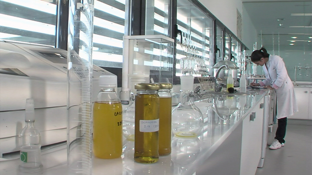 Modificaciones en la normativa sobre las características de los aceites de oliva y aceites de orujo de oliva y sus métodos de análisis.