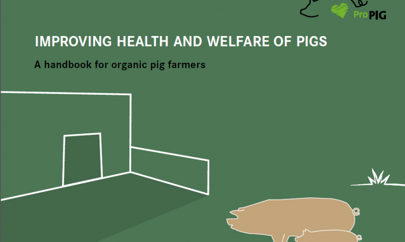 Publicación de manual para ganaderos de cerdos ecológicos