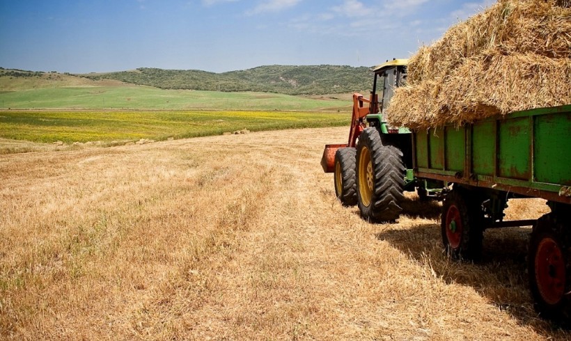 Convocatoria de Ayudas para la Agricultura Ecológica en Castilla la Mancha 2016