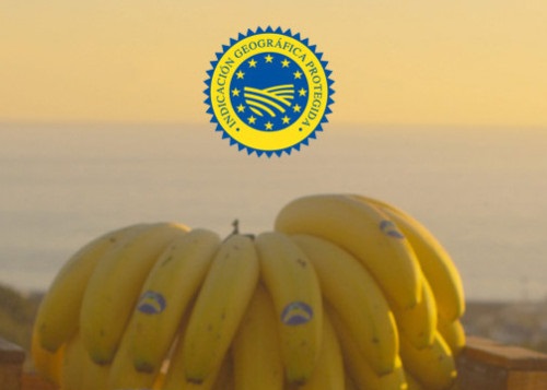 Nueva Autorización para la Certificación IGP Plátano de Canarias