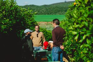 Certificación GlobalG.A.P