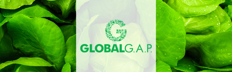 La certificación GlobalGAP