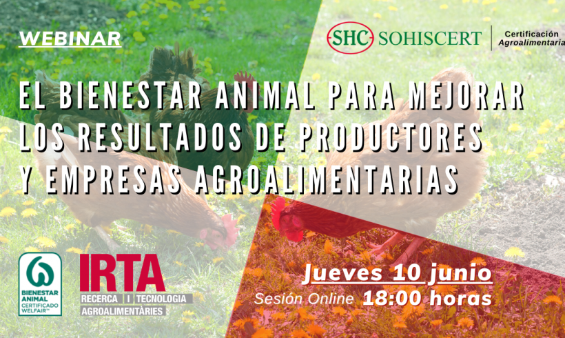 La importancia de la certificación en Bienestar Animal para mejorar los resultados de productores y empresas agroalimentarias