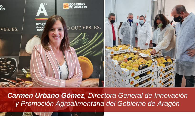 Entrevistamos a Carmen Urbano Gómez, Directora General de Innovación y Promoción Agroalimentaria del Gobierno de Aragón
