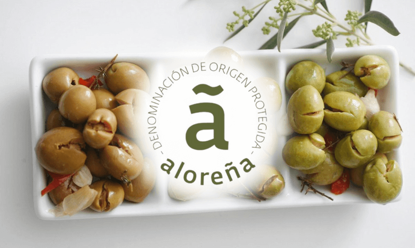 SOHISCERT certifica la primera campaña de la DOP Aceituna Aloreña