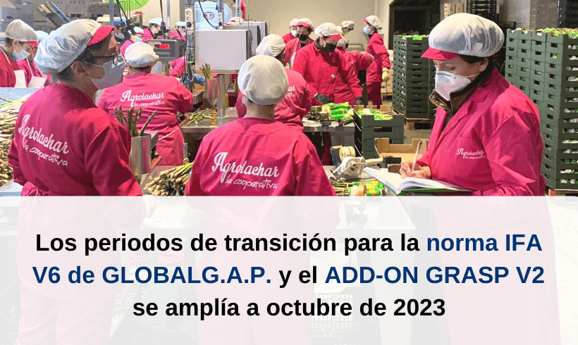 Los periodos de transición para la norma IFA V.6 de GLOBALG.A.P. y el Add-On de GRASP V.2 se amplía a octubre de 2023