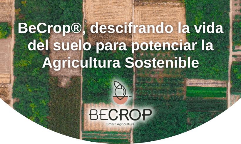 BeCrop, descifrando la vida del suelo para potenciar la Agricultura Sostenible