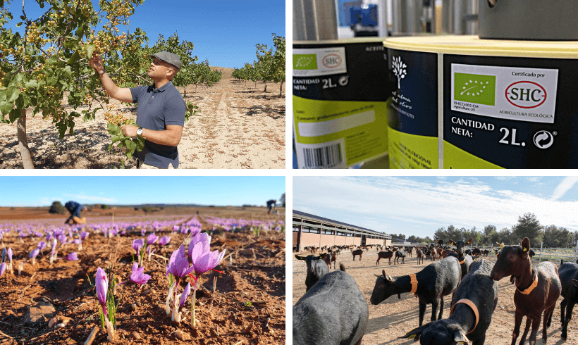 Ayudas para la Producción y Comercialización de Productos Agroalimentarios de Calidad  Diferenciada en Castilla La Mancha