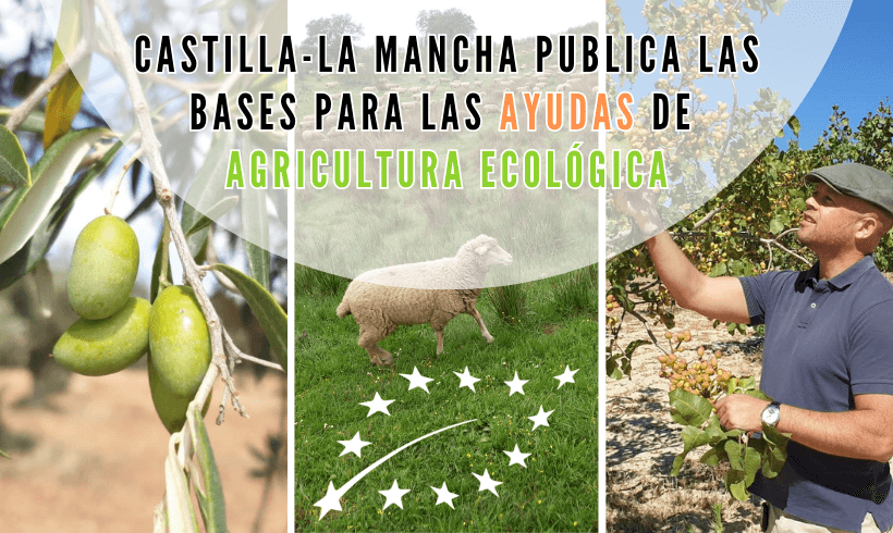 Castilla La Mancha publica las bases para las Ayudas de Agricultura Ecológica