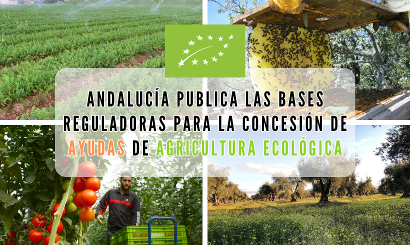 Andalucía publica la Orden por la que se aprueban las bases reguladoras para la concesión de Ayudas de Agricultura Ecológica