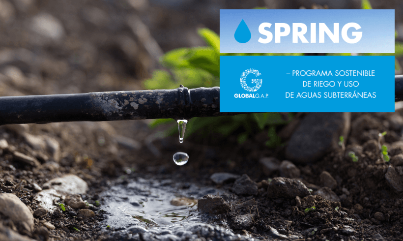 Módulo «Spring» de GLOBALG.A.P. Programa para garantizar el uso sostenible de riego y agua subterránea en la agricultura