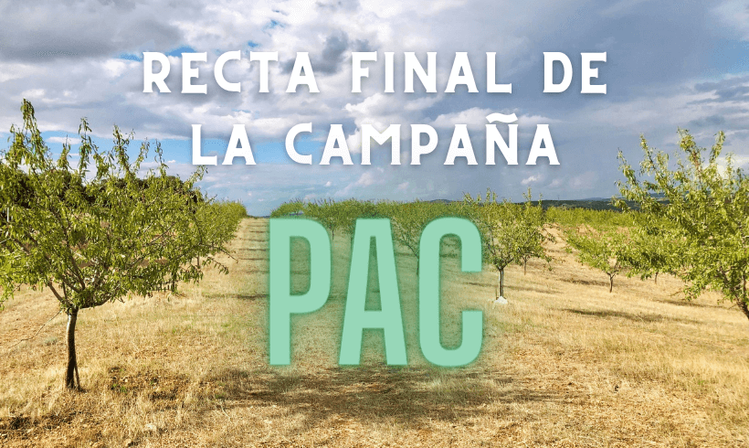 Advierten en Castilla La Mancha del colapso por los problemas de funcionamiento del Sistema de Gestión de Ayudas en la recta final de la campaña de la PAC