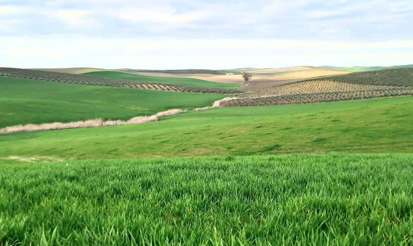 Convocada la incorporación a las Ayudas Agroambientales 2024 en Castilla y León